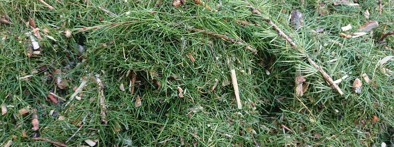 Pano_dsc_0888